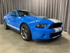 Thumbnail Photo 0 for 2010 Ford Mustang Shelby GT500